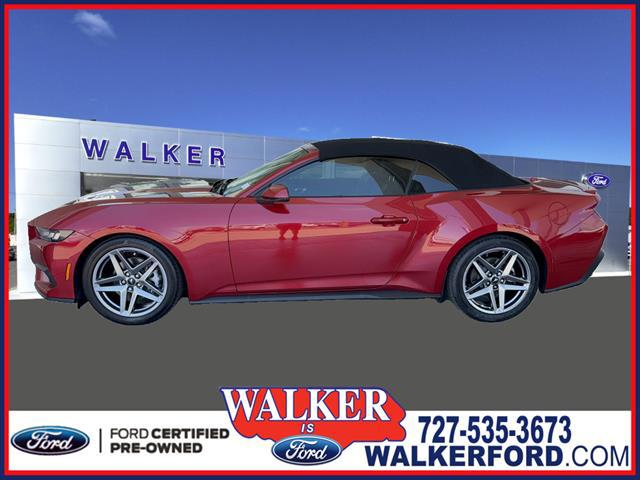 2024 Ford Mustang EcoBoost Premium Convertible for sale in Clearwater, FL