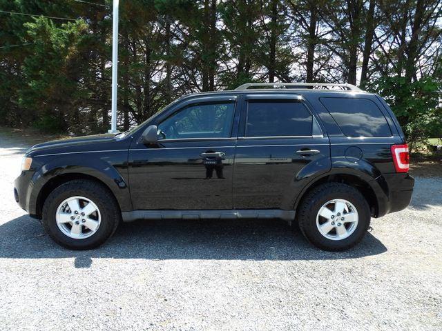 2010 Ford Escape XLT 2010 Ford Escape XLT