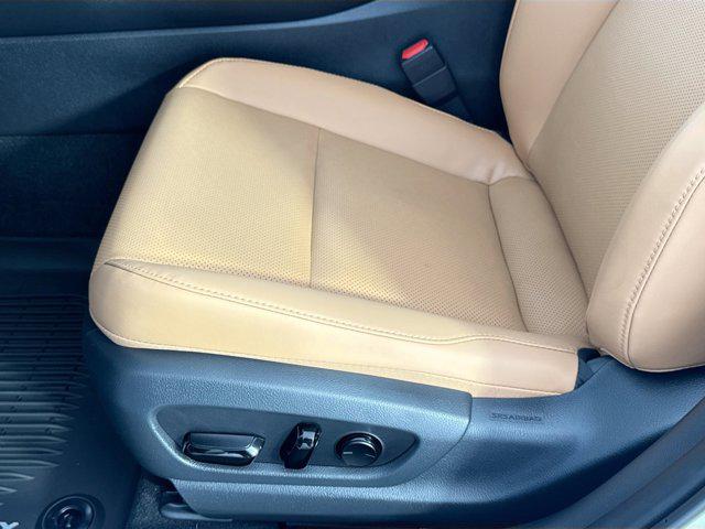2026 Lexus 300 Premium AWD