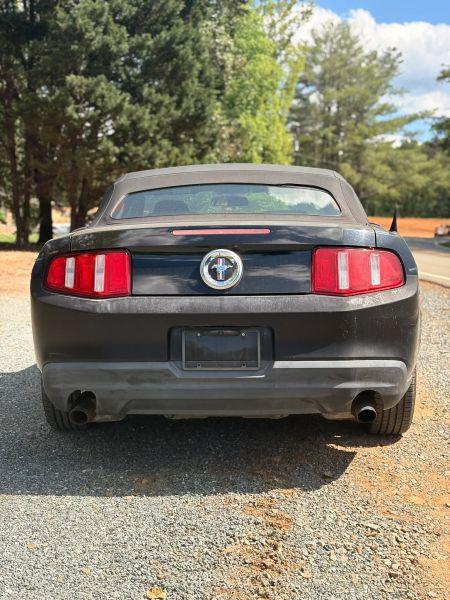 2010 Ford Mustang Base