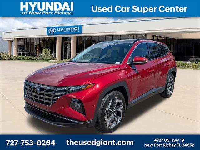 2024 Hyundai Tucson Limited for sale in NEW PORT RICHEY, FL