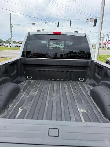 2025 Ford F-250 Platinum