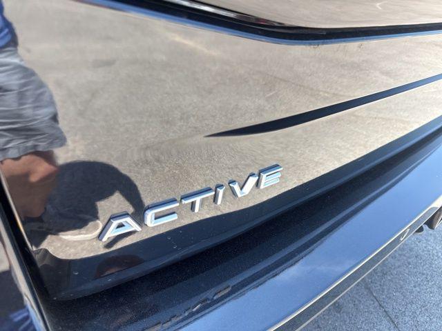 2025 Ford Expedition Active MAX