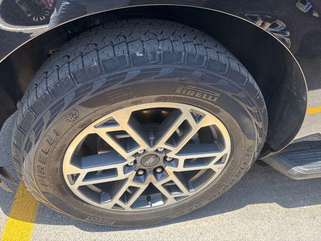 2025 Ford Expedition Active MAX