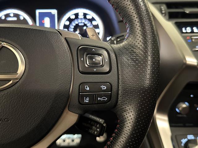 2020 Lexus NX 300 F SPORT