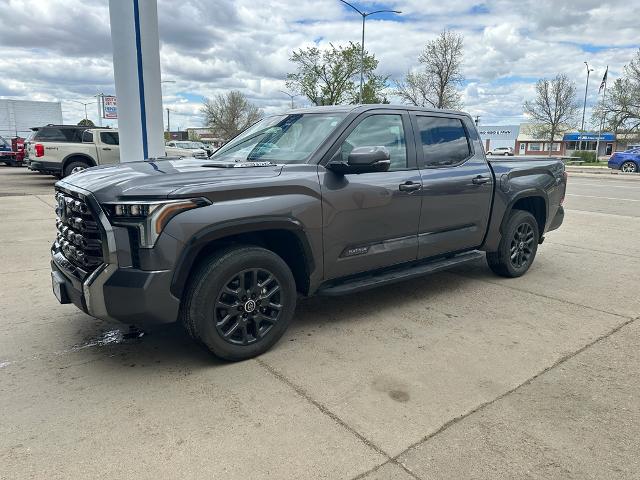 2024 Toyota Tundra Platinum 4WD for sale in Wolf Point, MT