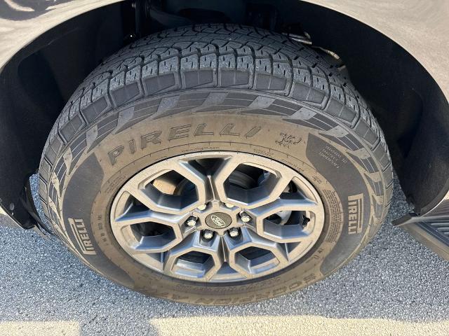 2025 Ford Expedition Active MAX
