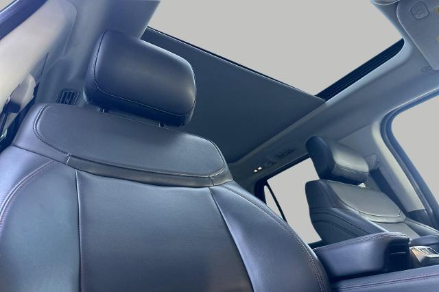 2025 Ford Expedition Active MAX