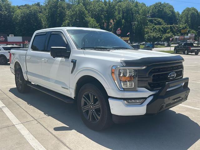 2023 Ford F-150 XLT for sale in Clayton, GA