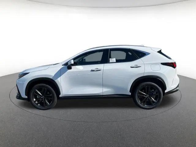 2026 Lexus NX Luxury
