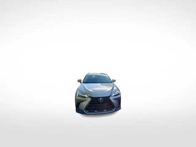 2024 Lexus NX NX 250 for sale in Danvers, MA