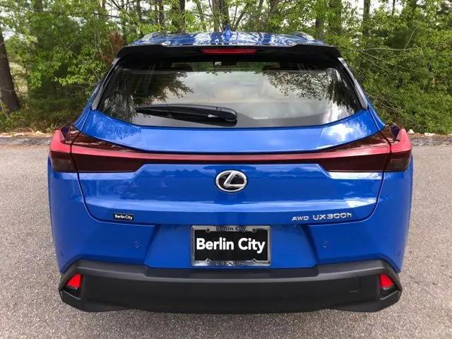 2025 Lexus 300 Premium