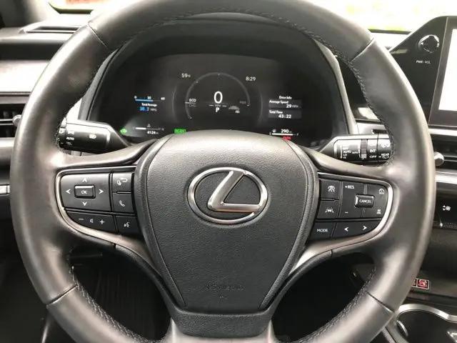 2025 Lexus 300 Premium