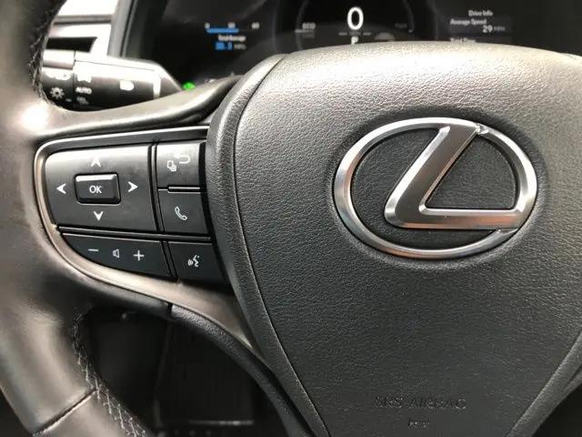 2025 Lexus 300 Premium