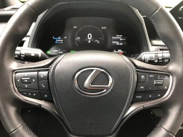 2025 Lexus 300 Premium