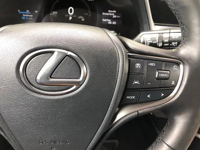2025 Lexus 300 Premium