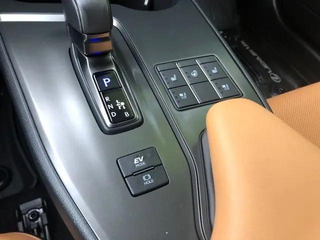 2025 Lexus 300 Premium