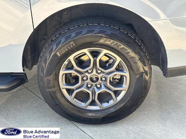 2025 Ford Expedition Active MAX