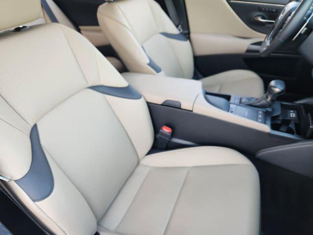 2020 Lexus ES 350 Unknown