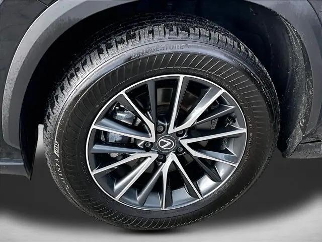 2025 Lexus NX NX 250
