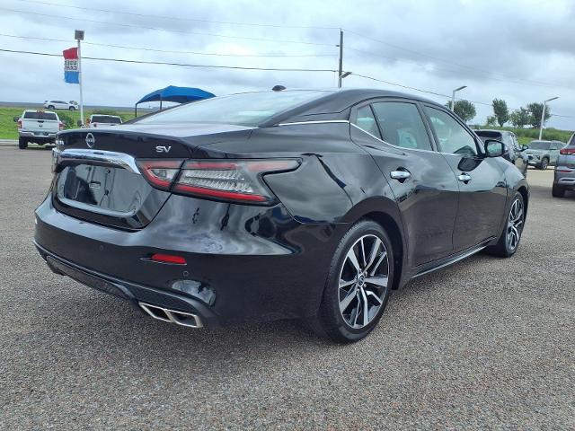 2023 Nissan Maxima SV Xtronic CVT