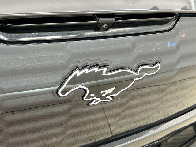 2022 Ford Mustang Mach-E GT