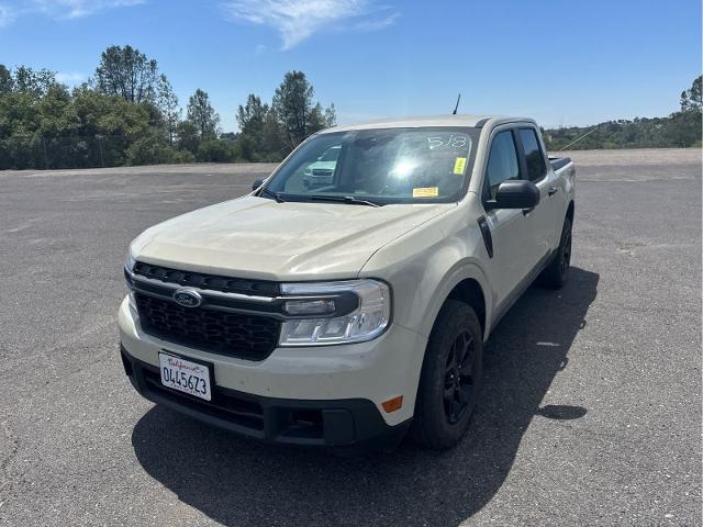 2024 Ford Maverick XLT for sale in Sonora, CA