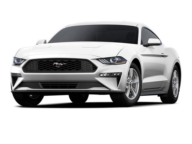 2022 Ford Mustang EcoBoost Fastback for sale in Greenville, NC
