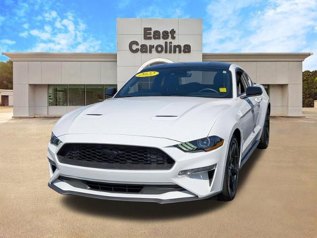 2022 Ford Mustang EcoBoost Fastback