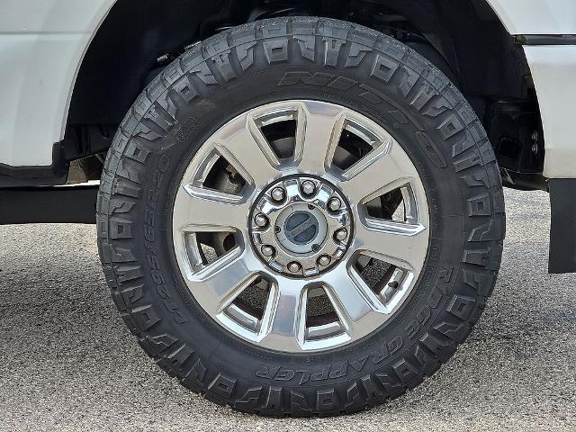 2022 Ford F-250 Platinum