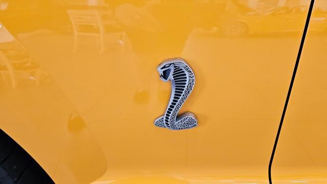 2007 Ford 500 Shelby GT500