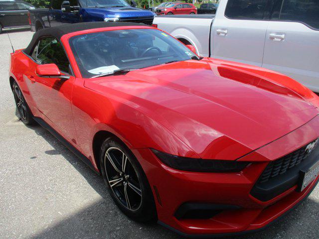 2025 Ford Mustang EcoBoost Premium Convertible for sale in Chapmanville, WV