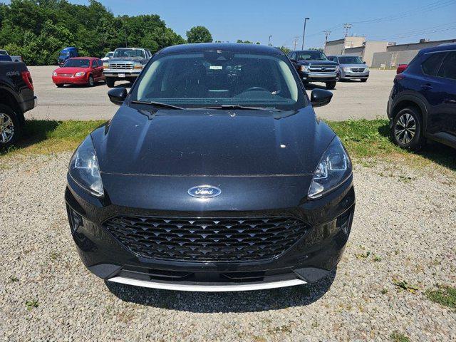 2020 Ford Escape SE Sport Hybrid for sale in Bardstown, KY