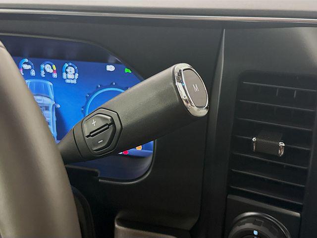 2025 Ford F-450 Platinum
