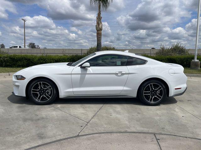 2022 Ford Mustang EcoBoost Fastback