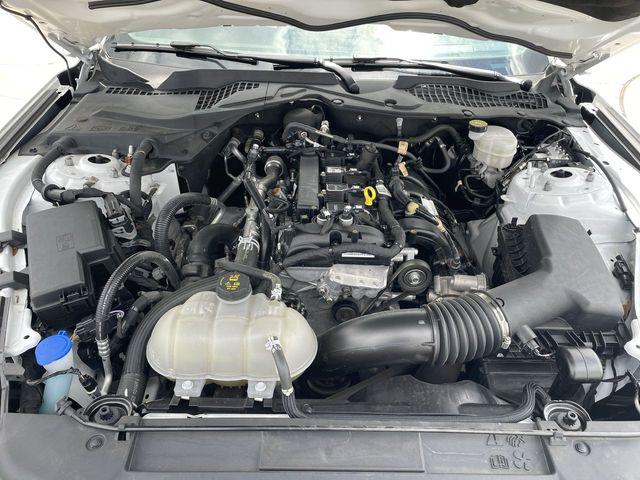2022 Ford Mustang EcoBoost Fastback