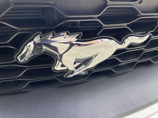 2022 Ford Mustang EcoBoost Fastback
