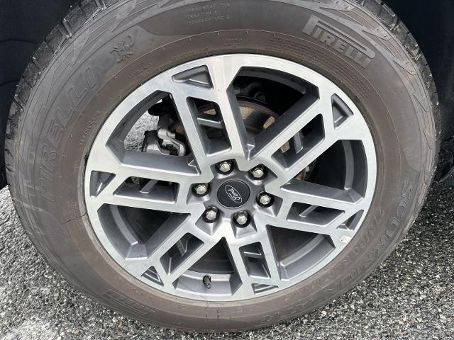 2025 Ford Expedition Active MAX