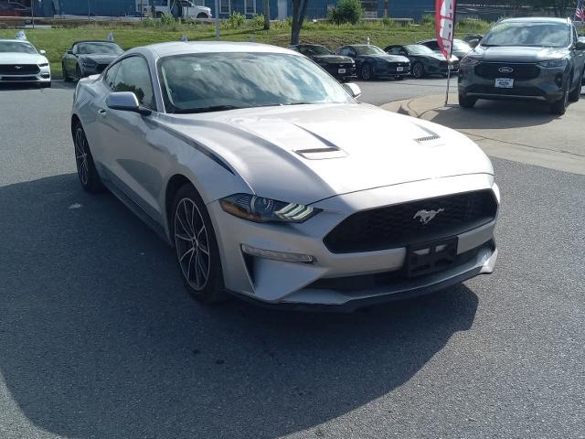 2019 Ford Mustang EcoBoost for sale in Front Royal, VA