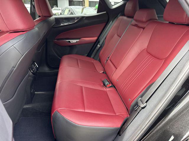 2024 Lexus NX 250 Base