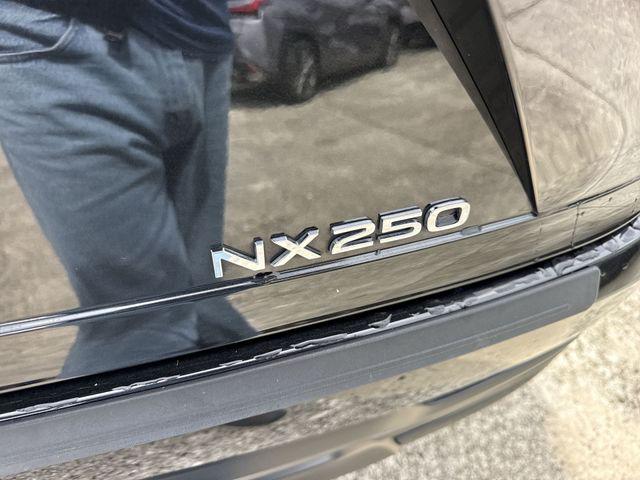 2024 Lexus NX 250 Base