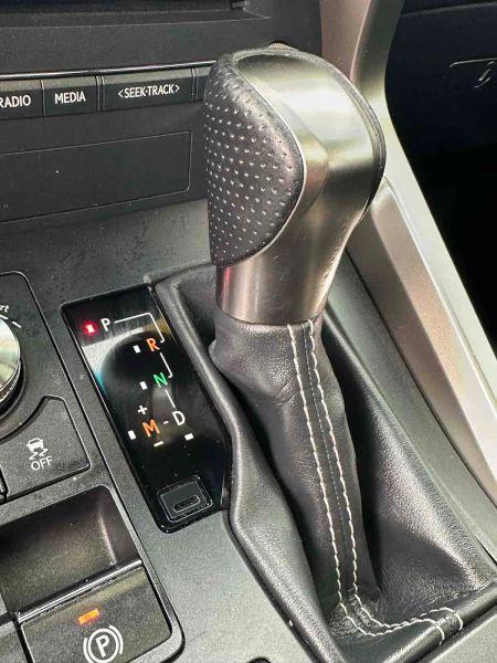 2019 Lexus NX 300 F SPORT