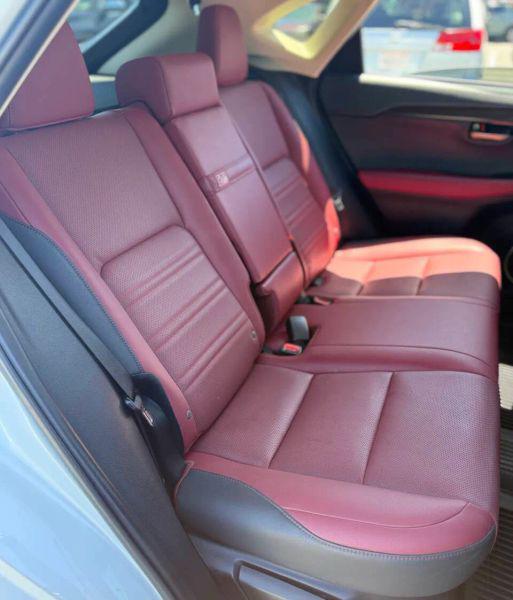 2021 Lexus NX 300h 300h