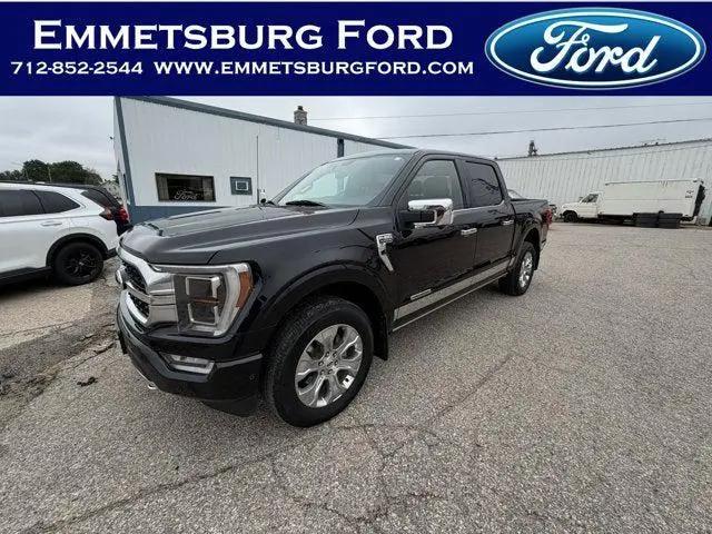 2022 Ford F-150 Platinum for sale in Emmetsburg, IA