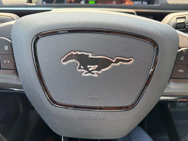 2022 Ford Mustang Mach-E California Route 1
