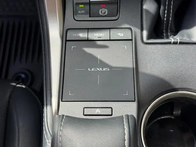 2021 Lexus NX 300 NX 300