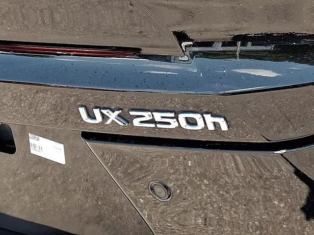 2023 Lexus UX 250h Premium