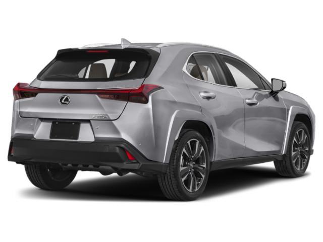 2023 Lexus UX 250h Premium