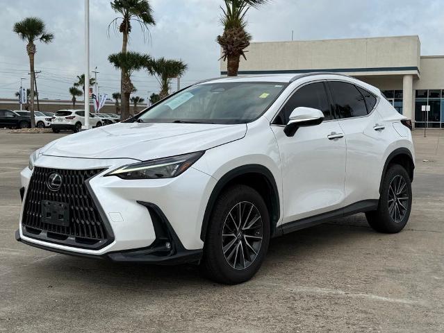 2023 Lexus NX Base for sale in Kingsville, TX