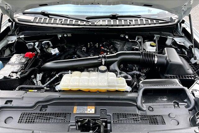 2025 Ford Expedition Active MAX
